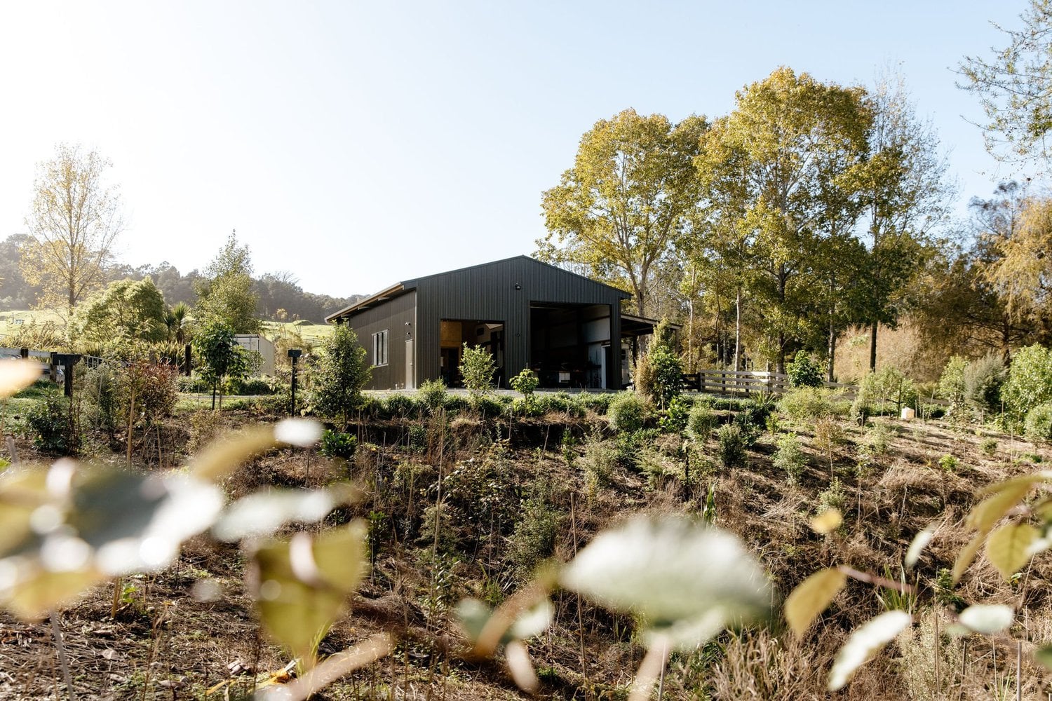 Dark-clad barn set among established trees